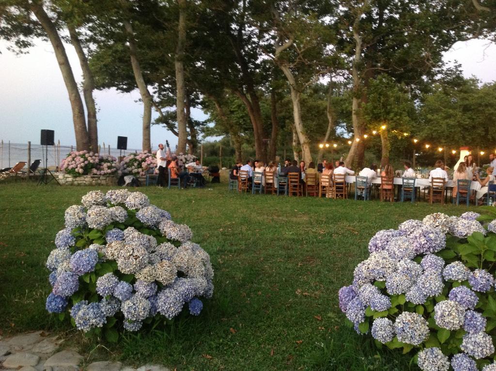 Archondissa Beach Aparthotel 塞尔马 外观 照片
