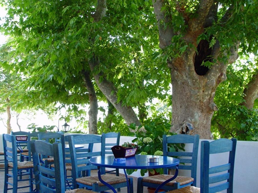 Archondissa Beach Aparthotel 塞尔马 外观 照片