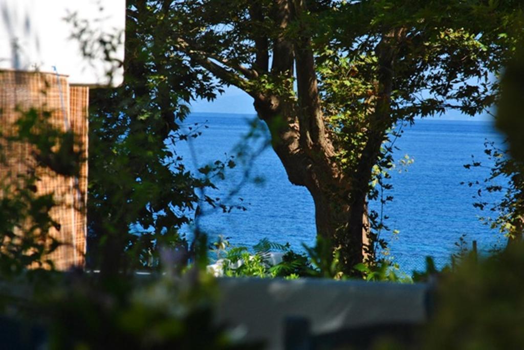 Archondissa Beach Aparthotel 塞尔马 外观 照片