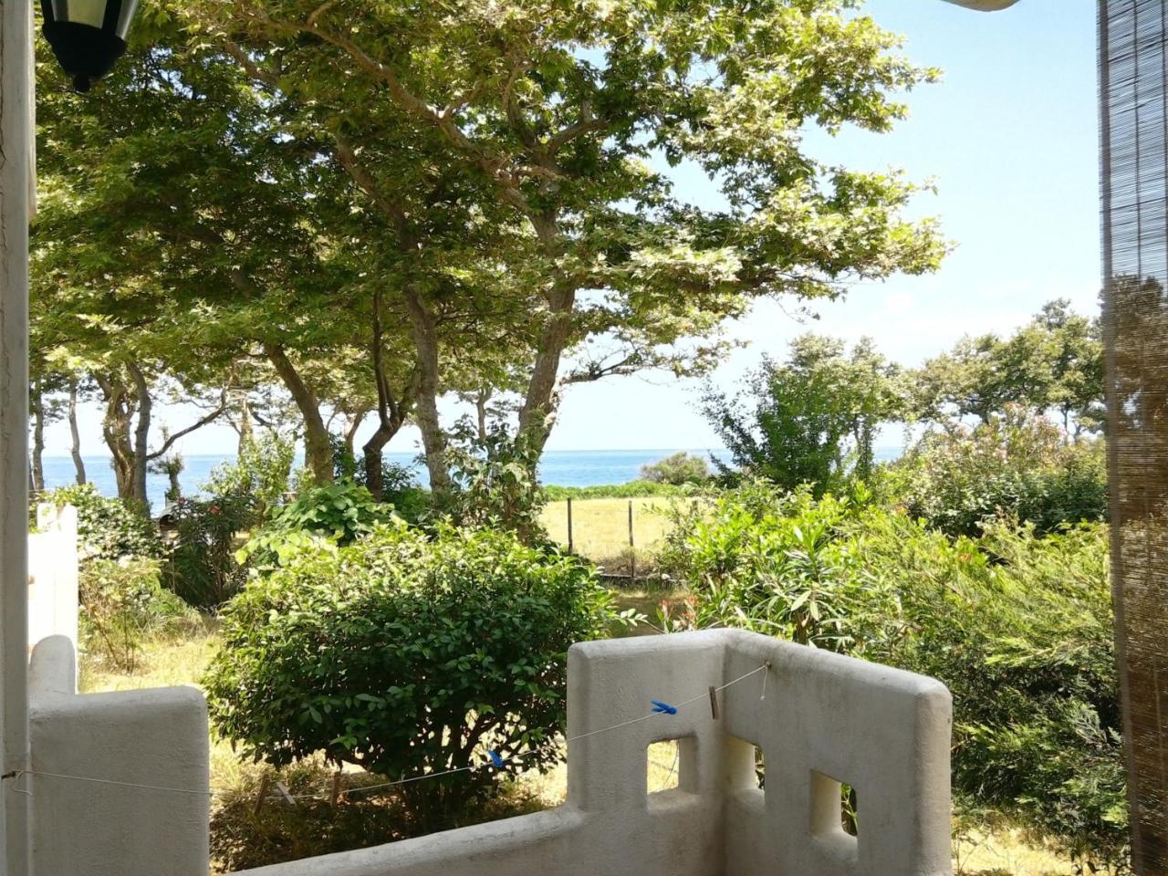 Archondissa Beach Aparthotel 塞尔马 外观 照片