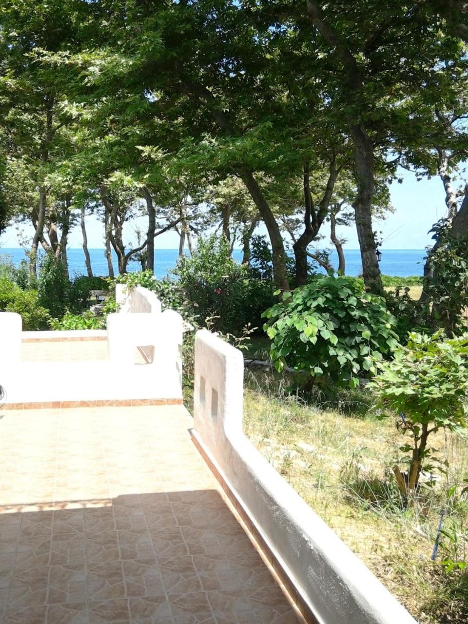 Archondissa Beach Aparthotel 塞尔马 外观 照片