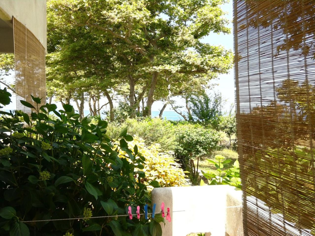 Archondissa Beach Aparthotel 塞尔马 外观 照片